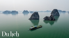 Ngày 29/3, khai trương tuyến du lịch tham quan vịnh Bái Tử Long