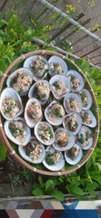 Cồn Chim -Trà Vinh 1 ngày