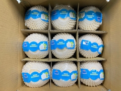 Diamond Cut Coconut
