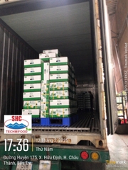 Easy Open Coconut (Button Coconut)