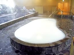 MÁY TẠO BỌT MICRO CHO BỂ ONSEN_NIKUNI