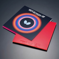 Butterfly Tenergy 19 Nội Địa