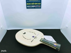Butterfly Zhang Jike T5000-nội địa Nhật