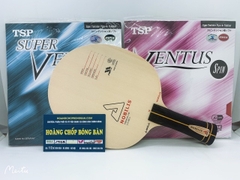 Bộ vợt HC21
