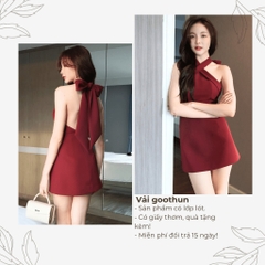Đầm váy xòe chân váy mini cổ họa tiết hai lớp có lớp lót có bigsize | vd1