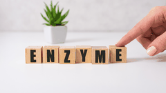 Enzyme: Món Quà Của Thượng Đế Đối Với Sức Khỏe Con Người