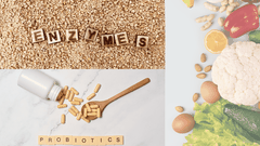 Giải Mã 2 Loại Men Quyền Lực Trong Cơ Thể: Men Tiêu Hóa (Enzymes) & Men Vi Sinh (Probiotics) – Bạn Đã Hiểu Đúng Chưa?