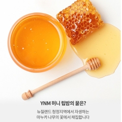 SON DƯỠNG YNM RAINBOW HONEY PK001 - LIGHT PINK