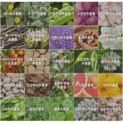 SỮA TẮM JMELLA SPARKLING ROSE 500ML