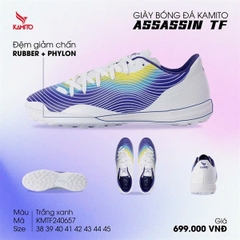 Assasin TF