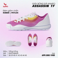 Assasin TF