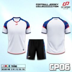 CP06