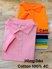 Áo Cổ Bẻ Cotton 100% Mẫu 1