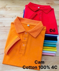 Áo Cổ Bẻ Cotton 100% Mẫu 18