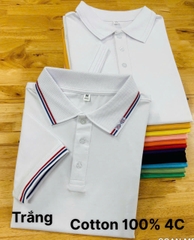 Áo cổ trụ 100% Cotton