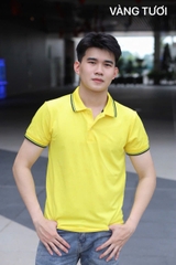 Áo cổ bẻ poli form riêng Nam nữ Mẫu 4
