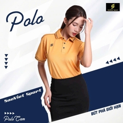 Áo cổ bẻ hãng Mẫu 4