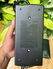 Sạc pin LFP cho tất cả dòng xe máy điện 48V 5A
