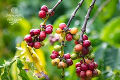 PREMIUM MOKA BAG 500G - GROUND COFFEE