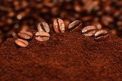 ROASTED WHOLE BEAN ROBUSTA COFFEE - BAG 500G