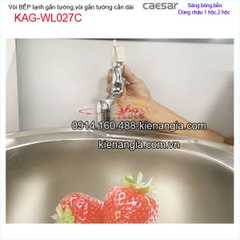 Vòi rửa chén lạnh gắn tường ,vòi bồn tắm lạnh CAESAR WL027C