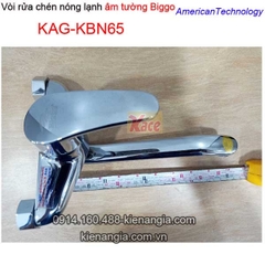 Vòi rửa chén nóng lạnh gắn tường Biggovòi xả bồn KAG-KBN65