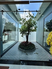 *BIỆT THỰ SANG TRỌNG TẠI PHÚ TÂN, TP. BẾN TRE –  408m2 - NHÀ 200M2!