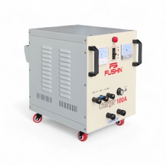 Sạc Tự Động 100A (12-24V) - Thông Dụng