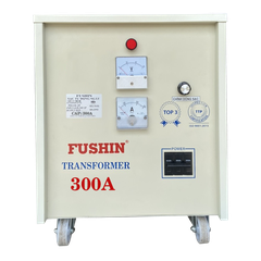 Sạc Tự Động 300A (12-24V) - Thông Dụng