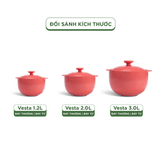 Nồi dưỡng sinh Vesta 1.2 L - 2.0 L - 3.0 L + nắp (CK) - Healthy Cook - Màu Đỏ 2