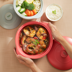 Nồi dưỡng sinh Vesta 1.2 L - 2.0 L - 3.0 L + nắp (CK) - Healthy Cook - Màu Đỏ 2