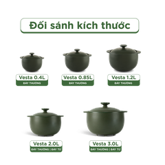 Nồi dưỡng sinh Vesta 3.0 L + nắp (CK) - Healthy Cook - Xanh Rêu