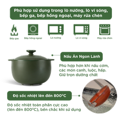 Nồi dưỡng sinh Vesta 3.0 L + nắp (CK) - Healthy Cook - Xanh Rêu