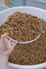 Sung khô và bột sung