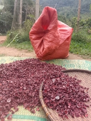 Sâm đại hành khô canh tác tự nhiên