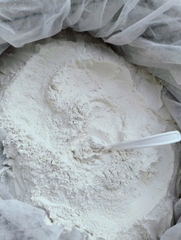 Sâm tố nữ rừng