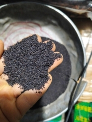 Hạt mã đề 500g