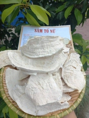 Sâm tố nữ rừng