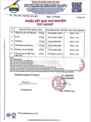 Cao bổ tỳ Bổ Nhân Toàn