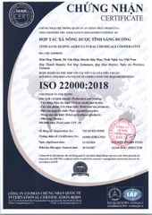 Cao bổ tỳ Bổ Nhân Toàn