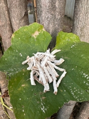 1kg khoai lang khô thái lát làm khoai xéo nấu chè làm banha