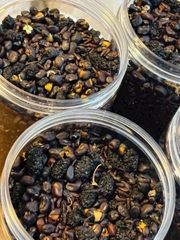 500g trà mầm dưỡng thận ngũ hắc