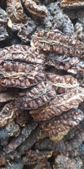 1kg Quả nhàu khô Miền tây Nghệ An