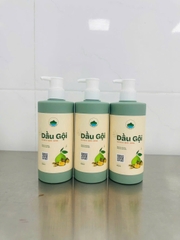 Gội Hà thủ ô Bưởi Gừng Thảo Mộc Kim Nhan