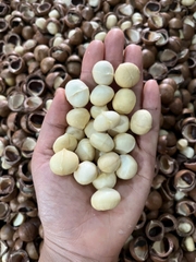 Sét 10 ngày làm sữa hạt