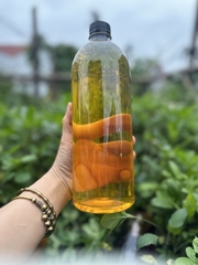 500ml Dầu lạc nghệ an (dầu đậu phộng))