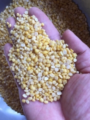 1kg Đậu xanh cà / đậu xanh bể đôi