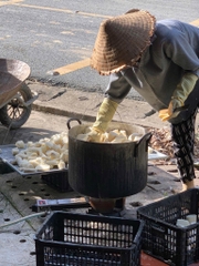 500g Củ mài rừng HOÀI SƠN SẦN chín