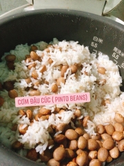 Đậu cúc thuần chủng Đà lạt