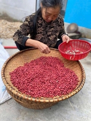 1lit dầu lạc nghệ an